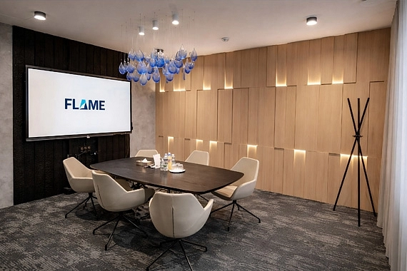 FLAME System openspace